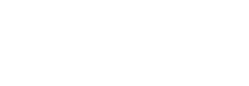 Checkhub logo