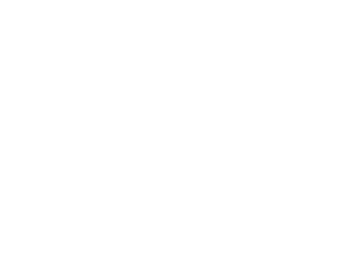 Sunbelt Rentals